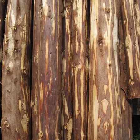 Landpension Zur Hainbuche Casa de hóspedes