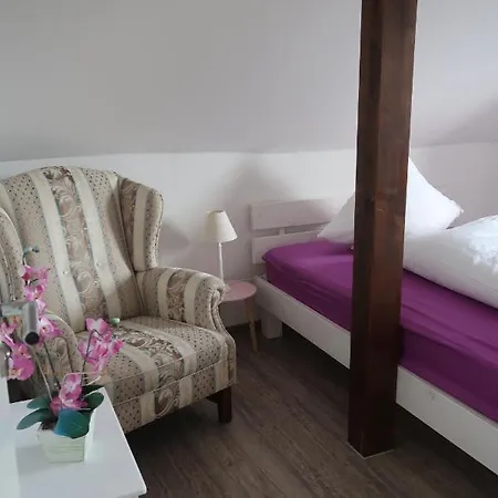 Casa de hóspedes Landpension Zur Hainbuche Romrod