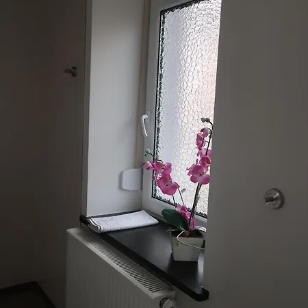 Landpension Zur Hainbuche Casa de hóspedes Romrod