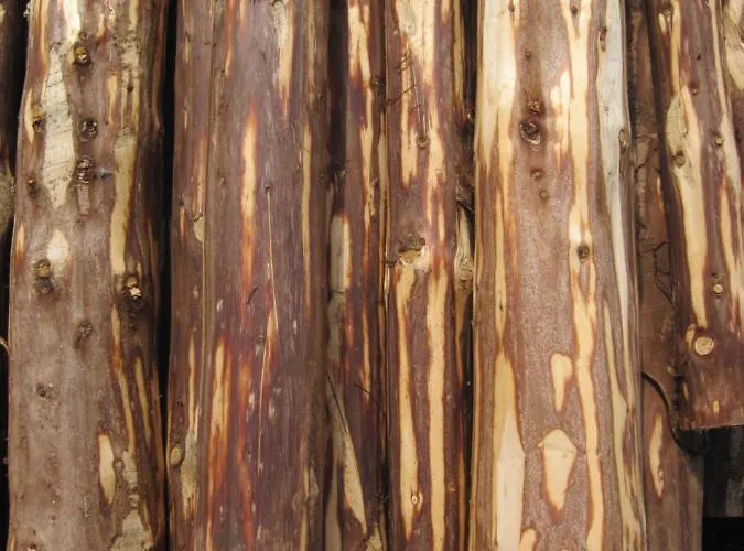 Landpension Zur Hainbuche Gasthof