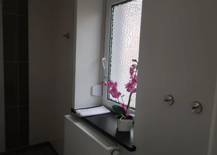 Landpension Zur Hainbuche Gasthof Romrod